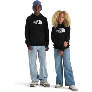 The North Face unisex-child Evolution Half Dome Hoodie(Tnf Black)