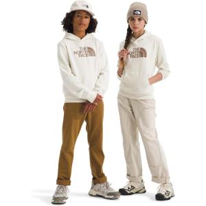 The North Face unisex-child Evolution Half Dome Hoodie(White Dune)