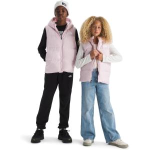 The North Face unisex-child North Down Hooded Vest(Pale Blossom)