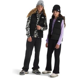 The North Face unisex-child North Down Hooded Vest(Tnf Black)