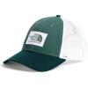 Duck Green/Deep Nori/New Views Same Planet Graphic