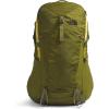 Forest Olive/New Taupe Green-npf
