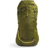 Forest Olive/New Taupe Green-npf