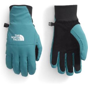 THE NORTH FACE Women’s Shelbe Raschel Etip Glove | Insulated & Water Repellent, Touchscreen Compatible, Soft Fleece Lining(Algae Blue)