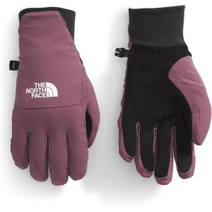 THE NORTH FACE Women’s Shelbe Raschel Etip Glove | Insulated & Water Repellent, Touchscreen Compatible, Soft Fleece Lining(Midnight Mauve)