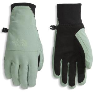 THE NORTH FACE Women’s Shelbe Raschel Etip Glove | Insulated & Water Repellent, Touchscreen Compatible, Soft Fleece Lining(Slate Moss)