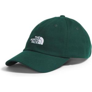 The North Face Unisex-Adult Norm Baseball Hat(Hunter Green)
