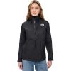 Asphalt Grey-tnf Black