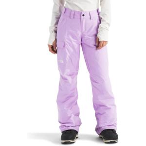 THE NORTH FACE Women’s Freedom Insulated Pant (Standard & Plus Size) | Waterproof for Snow Sports, Gaiters, Adjustable Waist(Lite Lilac)
