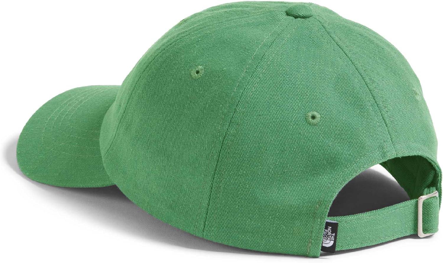 imageThe North Face Norm Baseball Hat Shallow Fit Ball Cap with Embroidered Logo Adjustable Strap Closure amp Silver BuckleDimmed Algae