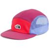 Cyber Berry/Virtual Blue/Hibiscus