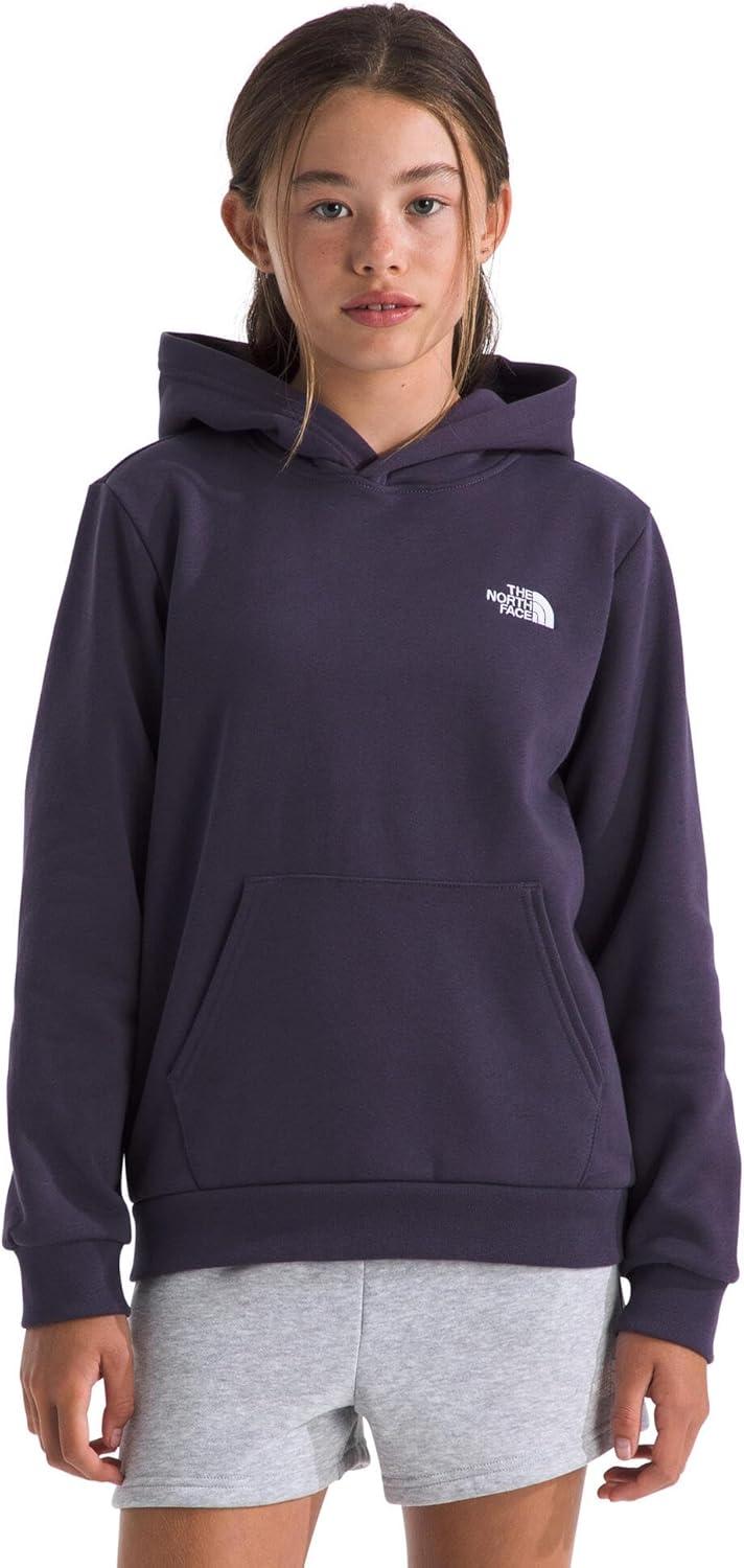 imageThe North Face Kids Evolution Emb Pullover Hoodie Hooded Sweatshirt for Boys amp Girls Kangaroo PocketEndless Dusk