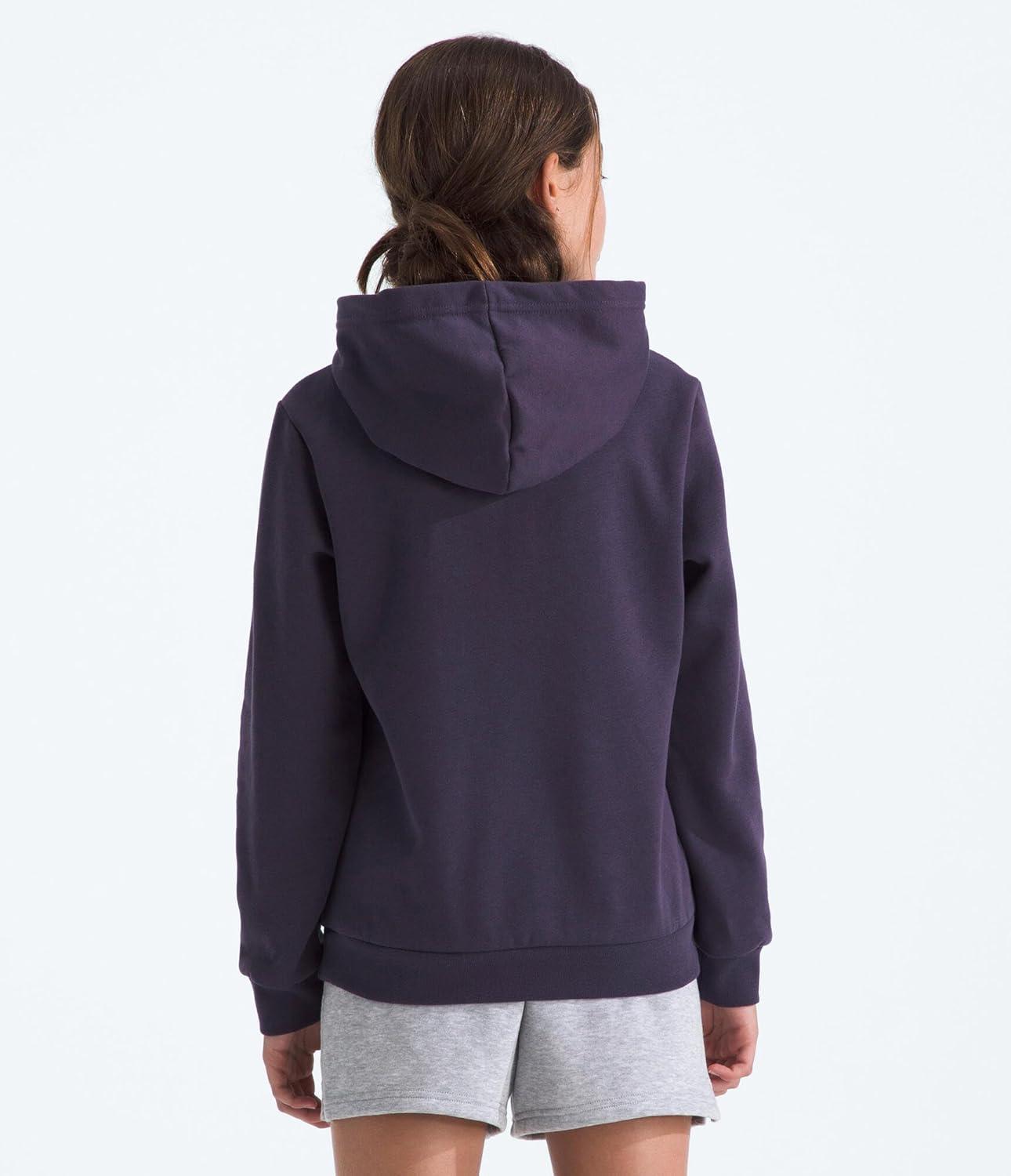 imageThe North Face Kids Evolution Emb Pullover Hoodie Hooded Sweatshirt for Boys amp Girls Kangaroo PocketEndless Dusk