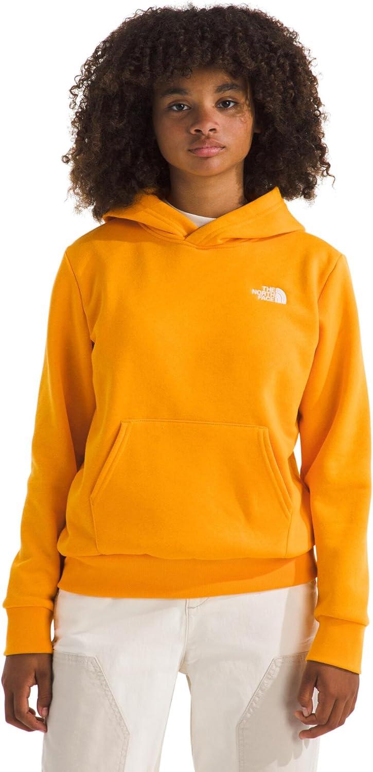 imageThe North Face Kids Evolution Emb Pullover Hoodie Hooded Sweatshirt for Boys amp Girls Kangaroo PocketSummit Gold