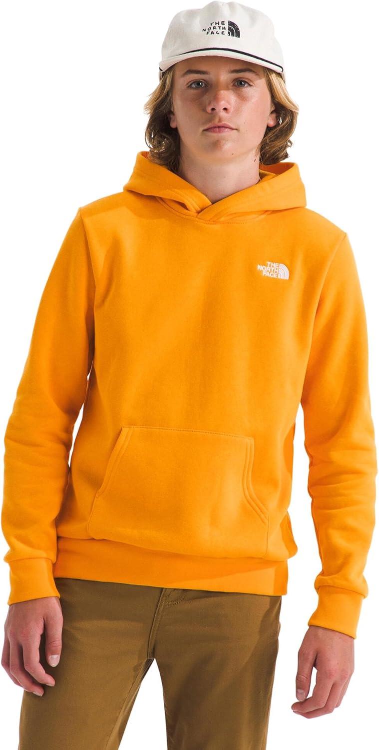 imageThe North Face Kids Evolution Emb Pullover Hoodie Hooded Sweatshirt for Boys amp Girls Kangaroo PocketSummit Gold