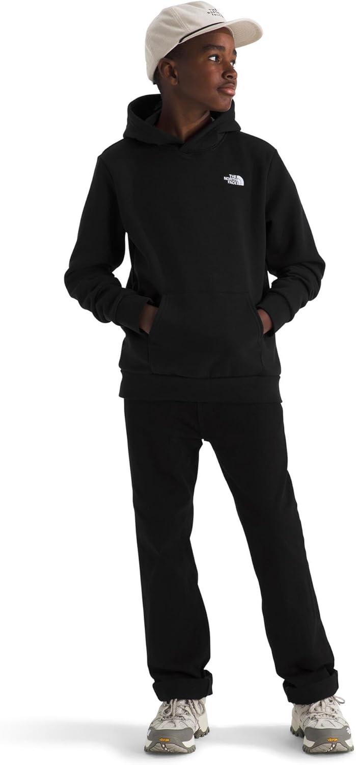 imageThe North Face Kids Evolution Emb Pullover Hoodie Hooded Sweatshirt for Boys amp Girls Kangaroo PocketTnf Black