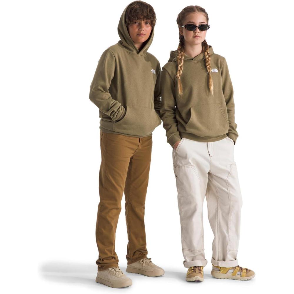 imageThe North Face Kids Evolution Emb Pullover Hoodie Hooded Sweatshirt for Boys amp Girls Kangaroo PocketCedar