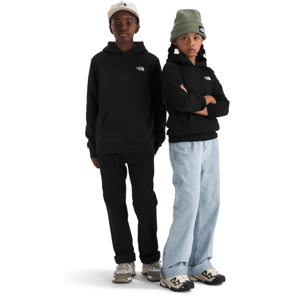 imageThe North Face Kids Evolution Emb Pullover Hoodie Hooded Sweatshirt for Boys amp Girls Kangaroo PocketTnf Black