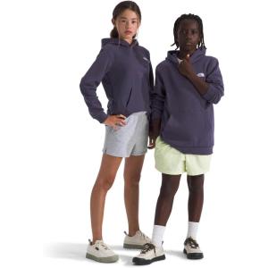 The North Face Kids’ Evolution Emb Pullover Hoodie – Hooded Sweatshirt for Boys & Girls, Kangaroo Pocket(Endless Dusk)