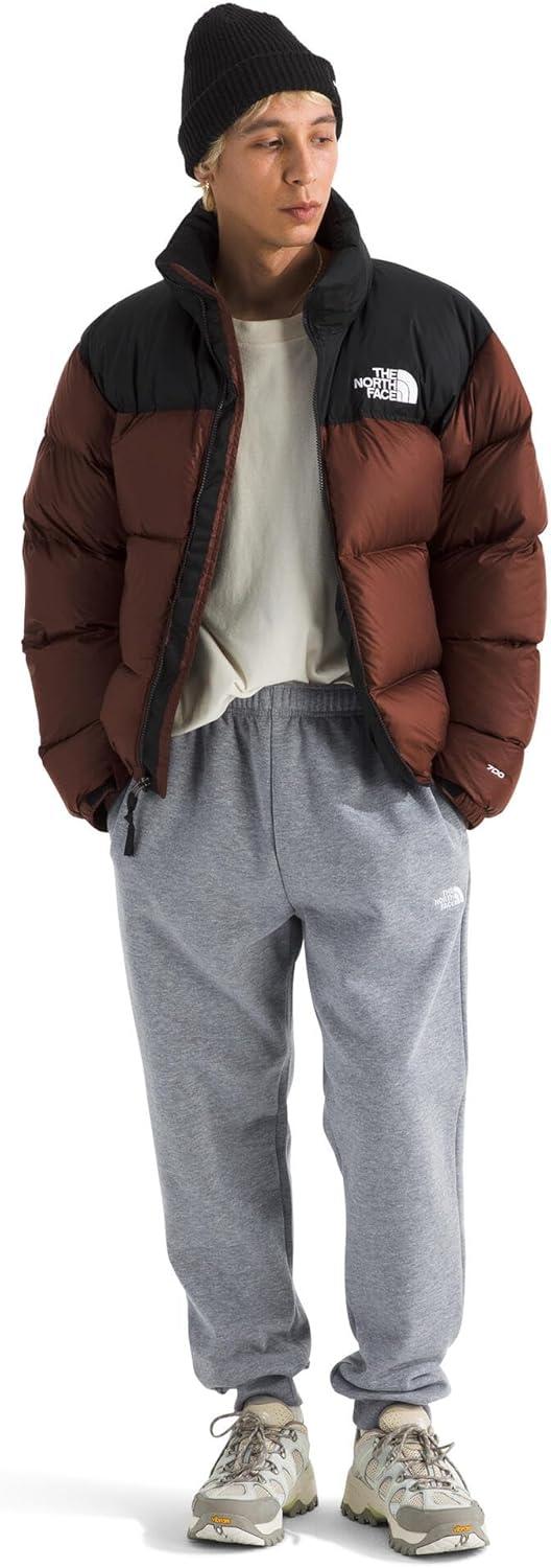 imageTHE NORTH FACE Mens Evolution Simple Dome Jogger Elastic Waistband With Adjustable Drawcord Hand Pockets Ribbed CuffsTnf Pale Grey Heather
