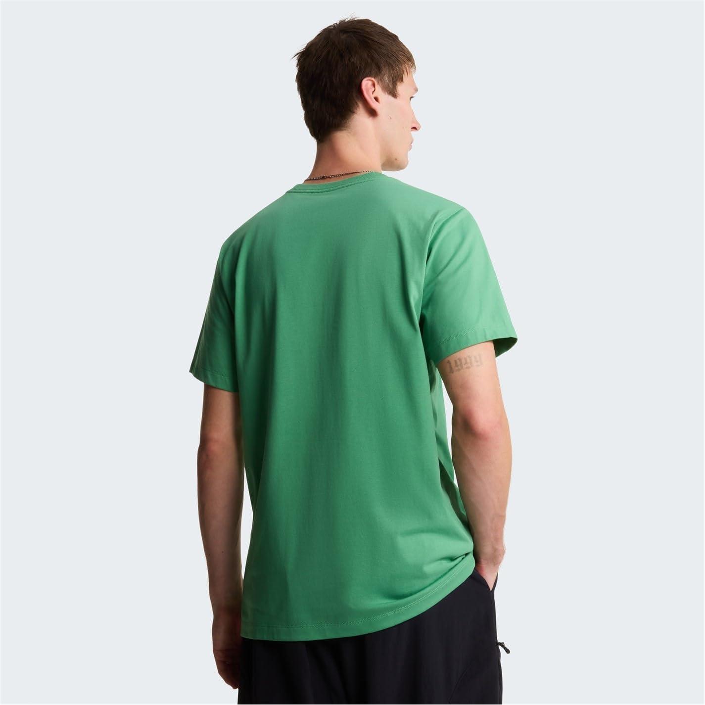imageTHE NORTH FACE Mens Evolution Simple Dome Shortsleeve Tee Standard amp Big Size Cotton Shirt With the Classic LogoDimmed Algae