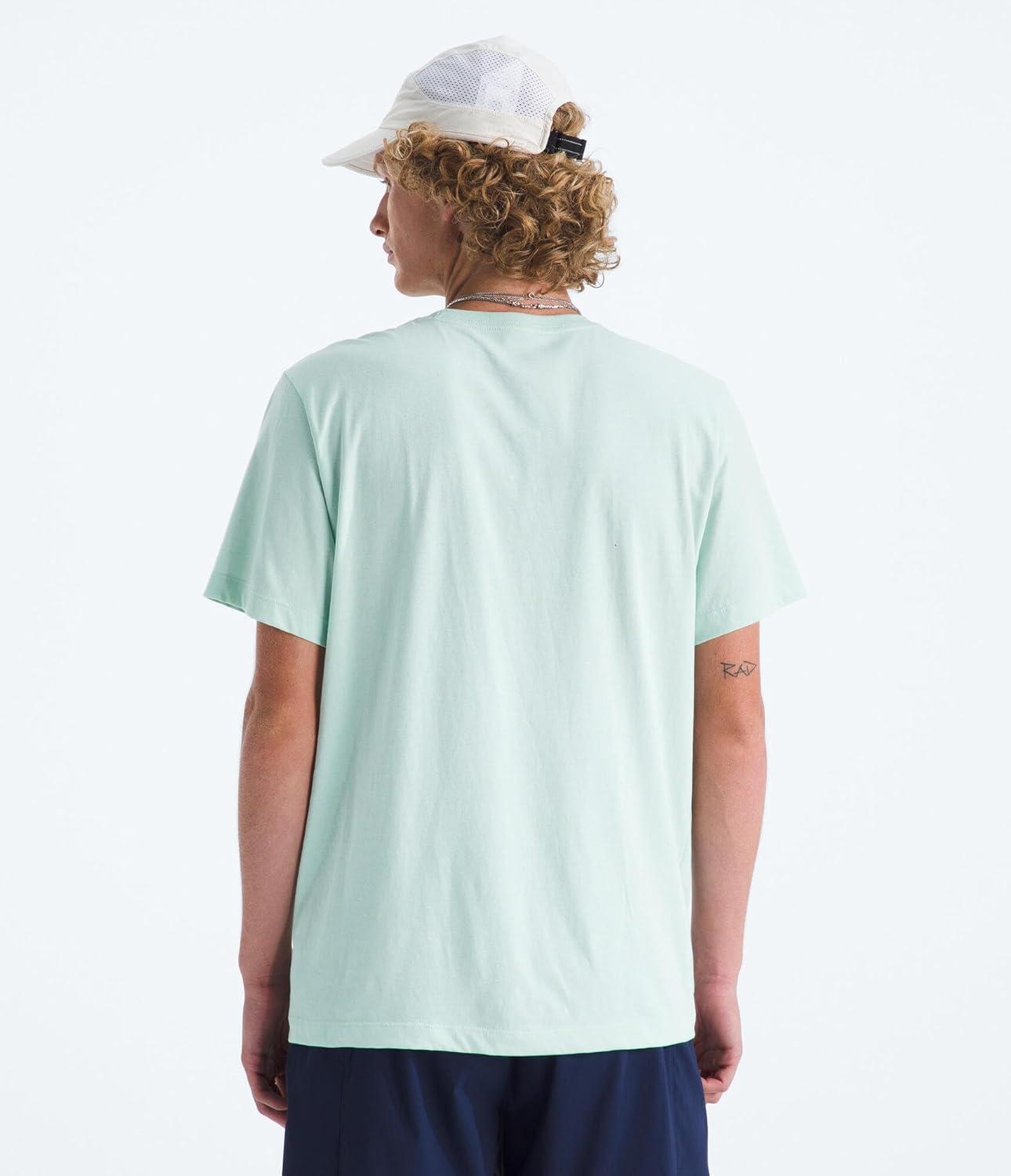 imageTHE NORTH FACE Mens Evolution Simple Dome Shortsleeve Tee Standard amp Big Size Cotton Shirt With the Classic LogoOpal Frost