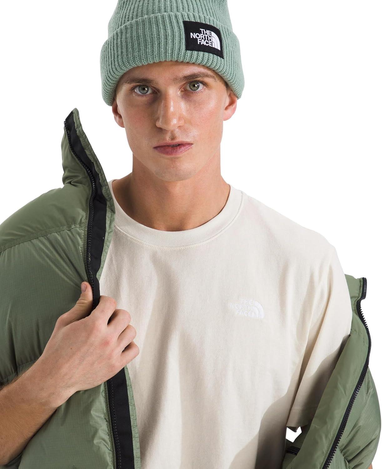 imageTHE NORTH FACE Mens Evolution Simple Dome Shortsleeve Tee Standard amp Big Size Cotton Shirt With the Classic LogoWhite Dune