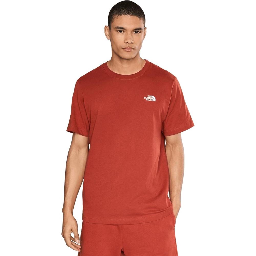 imageTHE NORTH FACE Mens Evolution Simple Dome Shortsleeve Tee Standard amp Big Size Cotton Shirt With the Classic LogoIron Clay
