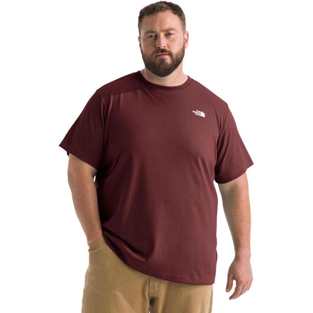 imageTHE NORTH FACE Mens Evolution Simple Dome Shortsleeve Tee Standard amp Big Size Cotton Shirt With the Classic LogoSumac