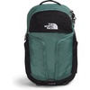 Dark Sage/Tnf Black
