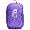 Elevation Purple/Peak Purple/Tnf White