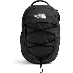 The North Face Borealis Mini Backpack, White Dune/TNF Black, One Size(Tnf Black/Tnf Black-npf)
