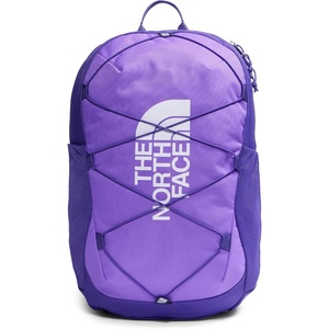 The North Face Kids’ Court Jester Backpack – Water-Repellent Travel Bag, Spacious Main Compartment, for Tweens/Young Teens, Cumulus Cloud/Stone Slab/Dimmed Algae, One Size(Elevation Purple/Peak Purple/Tnf White)